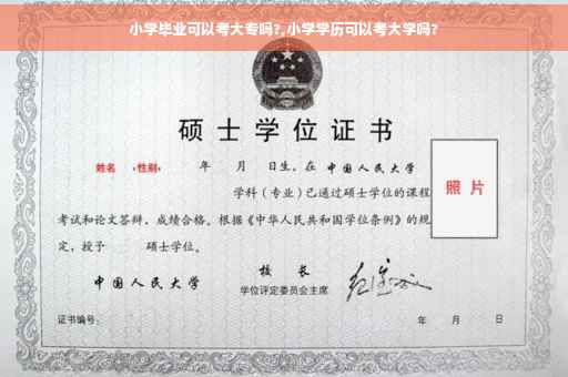 小学毕业可以考大专吗?,小学学历可以考大学吗?