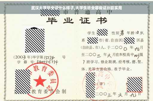 武汉大学毕业证什么样子,大学生毕业哪些证比较实用