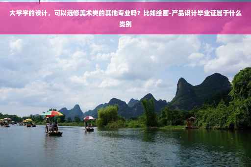 大学学的设计，可以选修美术类的其他专业吗？比如绘画-产品设计毕业证属于什么类别