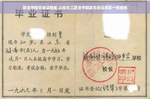 职业学校毕业证模板,山东化工职业学院发毕业证就发一张纸吗
