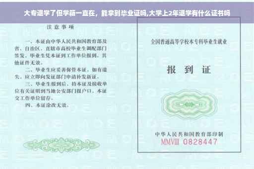 大专退学了但学籍一直在，能拿到毕业证吗,大学上2年退学有什么证书吗