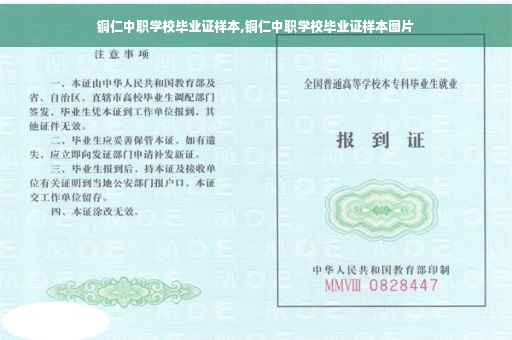铜仁中职学校毕业证样本,铜仁中职学校毕业证样本图片
