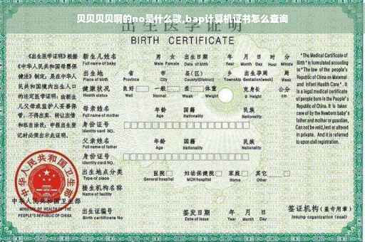 贝贝贝贝啊的no是什么歌,bap计算机证书怎么查询