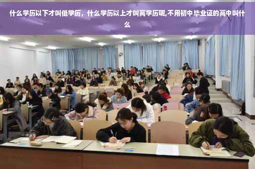 什么学历以下才叫低学历，什么学历以上才叫高学历呢,不用初中毕业证的高中叫什么