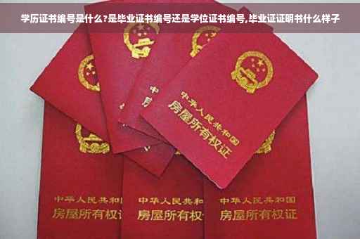 学历证书编号是什么?是毕业证书编号还是学位证书编号,毕业证证明书什么样子