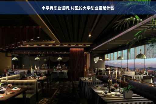 小学有毕业证吗,村里的大学毕业证是什么