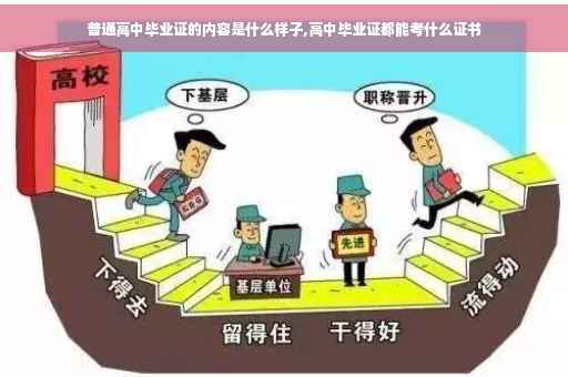 普通高中毕业证的内容是什么样子,高中毕业证都能考什么证书