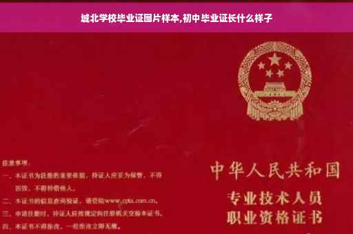 城北学校毕业证图片样本,初中毕业证长什么样子