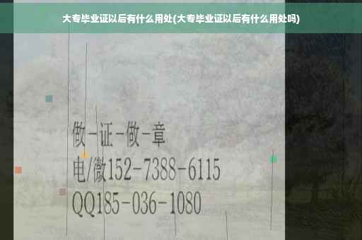 大专毕业证以后有什么用处(大专毕业证以后有什么用处吗)