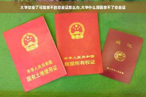 大学毕业了可是拿不到毕业证怎么办,大学什么原因拿不了毕业证