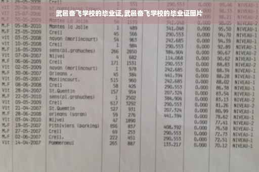 武邑奋飞学校的毕业证,武邑奋飞学校的毕业证图片