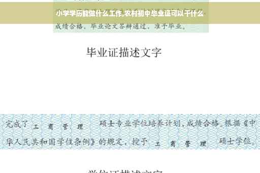 小学学历能做什么工作,农村初中毕业证可以干什么