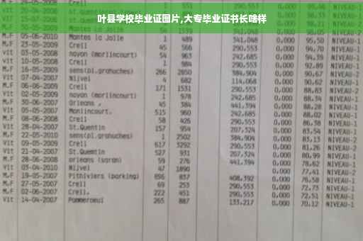 叶县学校毕业证图片,大专毕业证书长啥样