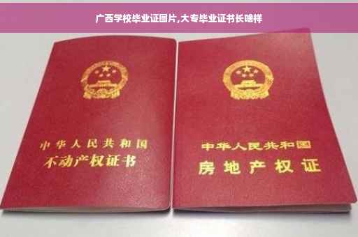 广西学校毕业证图片,大专毕业证书长啥样