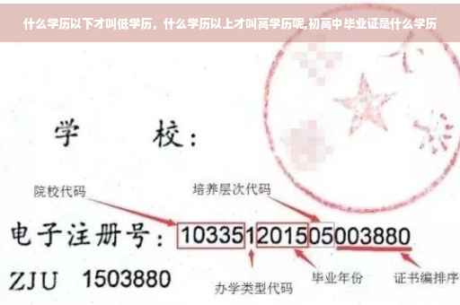 什么学历以下才叫低学历，什么学历以上才叫高学历呢,初高中毕业证是什么学历
