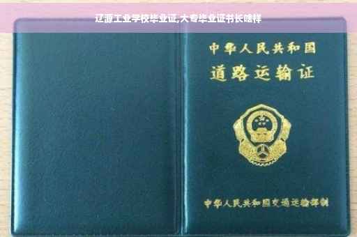 辽源工业学校毕业证,大专毕业证书长啥样
