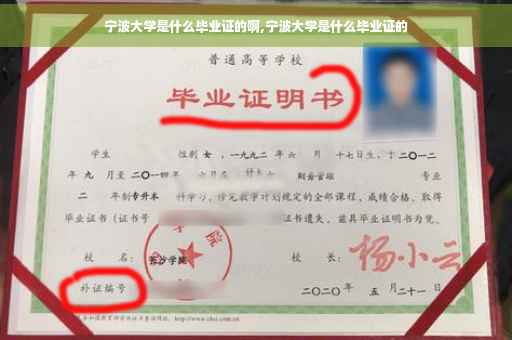 宁波大学是什么毕业证的啊,宁波大学是什么毕业证的