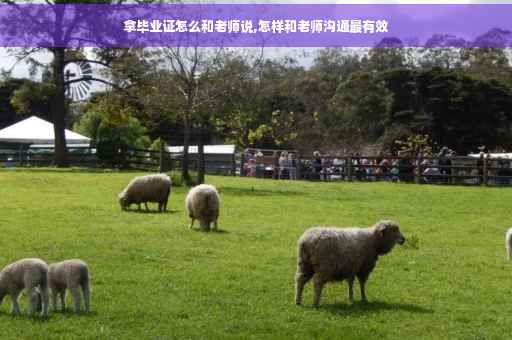 拿毕业证怎么和老师说,怎样和老师沟通最有效