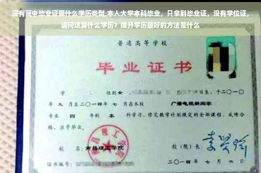 没有高中毕业证算什么学历类型,本人大学本科毕业，只拿到毕业证，没有学位证，请问这算什么学历？提升学历最好的方法是什么