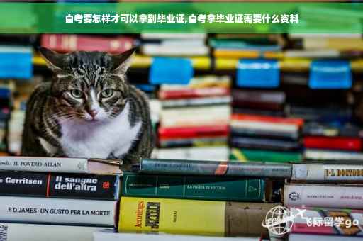 自考要怎样才可以拿到毕业证,自考拿毕业证需要什么资料