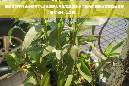 福建师范学校毕业证图片,福建师范大学体育教育中意合作办和普通体育教育毕业证书相同吗_百度知 ...