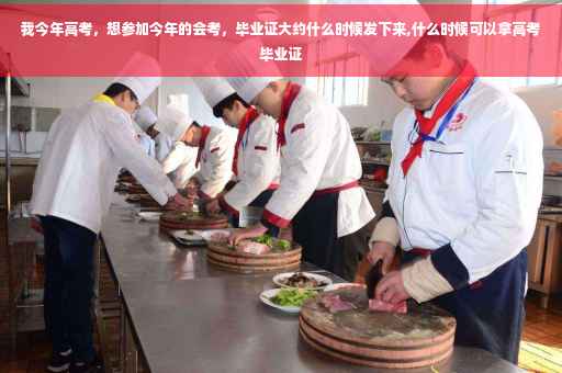 我今年高考，想参加今年的会考，毕业证大约什么时候发下来,什么时候可以拿高考毕业证
