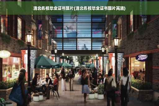 清北名校毕业证书图片(清北名校毕业证书图片高清)