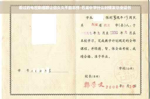看过的电视剧哪部让你久久不能忘怀-石龙中学什么时候发毕业证书