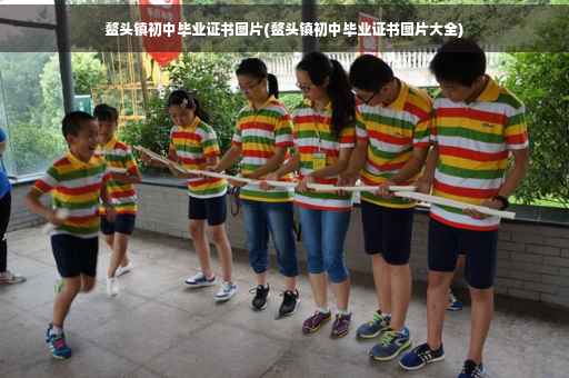 鳌头镇初中毕业证书图片(鳌头镇初中毕业证书图片大全)