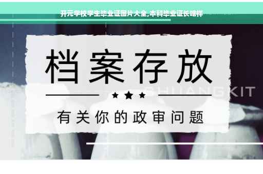 开元学校学生毕业证图片大全,本科毕业证长啥样