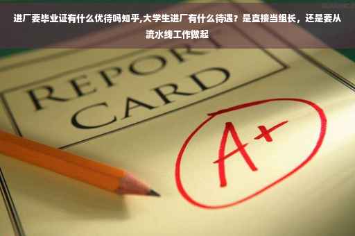 进厂要毕业证有什么优待吗知乎,大学生进厂有什么待遇？是直接当组长，还是要从流水线工作做起