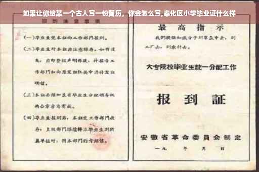 如果让你给某一个古人写一份简历，你会怎么写,奉化区小学毕业证什么样