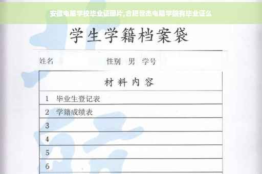 安徽电脑学校毕业证图片,合肥世杰电脑学院有毕业证么