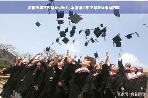 溆浦鹿鸣学校毕业证图片,溆浦第六中学毕业证编号内容