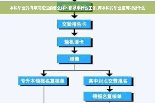 本科毕业的同学现在过的怎么样？都从事什么工作,有本科的毕业证可以做什么