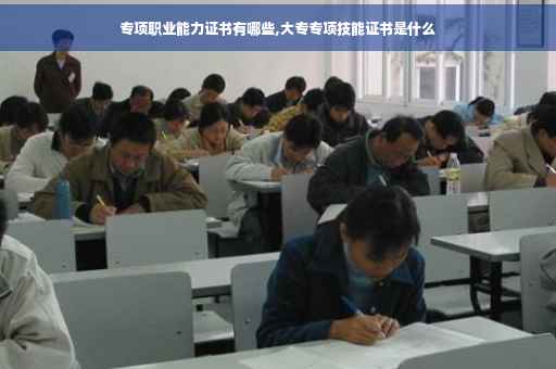 专项职业能力证书有哪些,大专专项技能证书是什么
