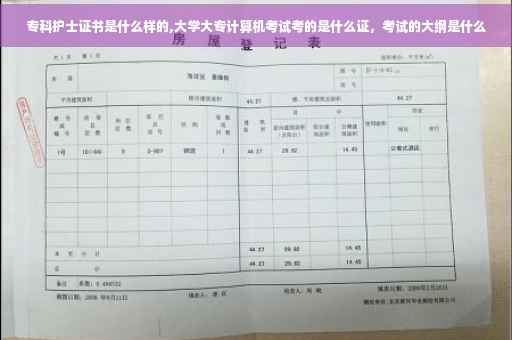 专科护士证书是什么样的,大学大专计算机考试考的是什么证，考试的大纲是什么