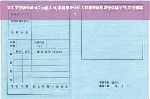 文山学校毕业证图片高清大图,本科毕业证和大专毕业证都是什么样子的,给个样本?