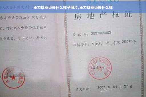 王力毕业证长什么样子图片,王力毕业证长什么样