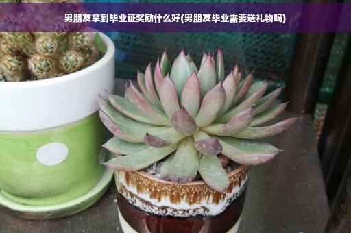男朋友拿到毕业证奖励什么好(男朋友毕业需要送礼物吗)