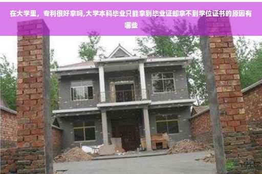 在大学里，专利很好拿吗,大学本科毕业只能拿到毕业证却拿不到学位证书的原因有哪些