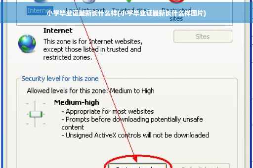 小学毕业证最新长什么样(小学毕业证最新长什么样图片)