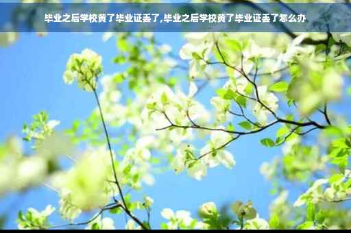 毕业之后学校黄了毕业证丢了,毕业之后学校黄了毕业证丢了怎么办