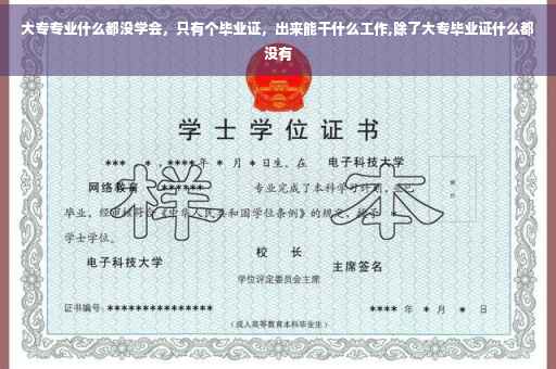 大专专业什么都没学会，只有个毕业证，出来能干什么工作,除了大专毕业证什么都没有