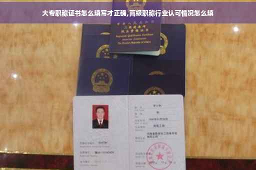 大专职称证书怎么填写才正确,高级职称行业认可情况怎么填
