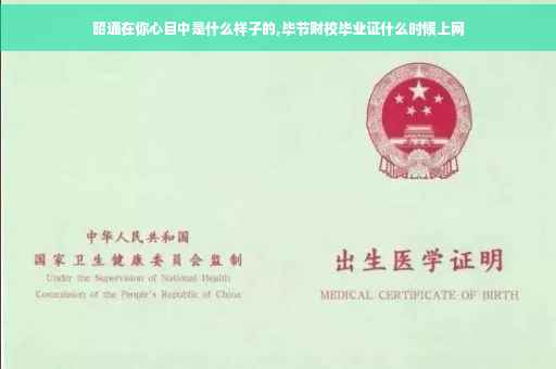 昭通在你心目中是什么样子的,毕节财校毕业证什么时候上网