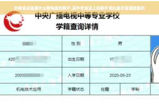 办就业证需要什么颜色底的照片,高中毕业证上的照片是红底还是蓝底版的