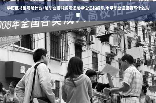 学历证书编号是什么?是毕业证书编号还是学位证书编号,小学毕业证里要写什么东西