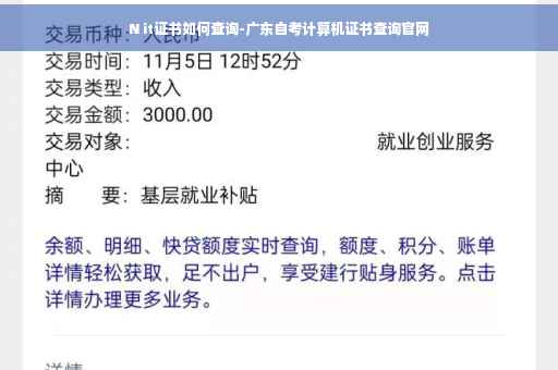 N it证书如何查询-广东自考计算机证书查询官网