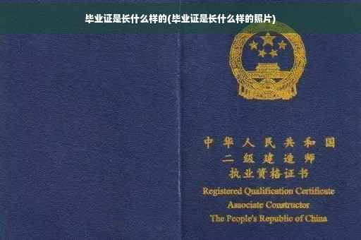 毕业证是长什么样的(毕业证是长什么样的照片)